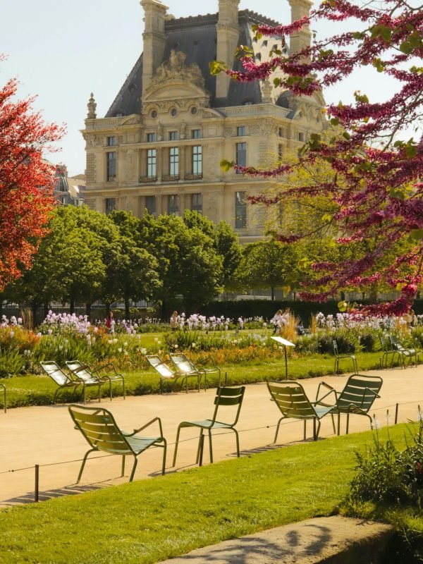 pexels-celine-3776818-14448269